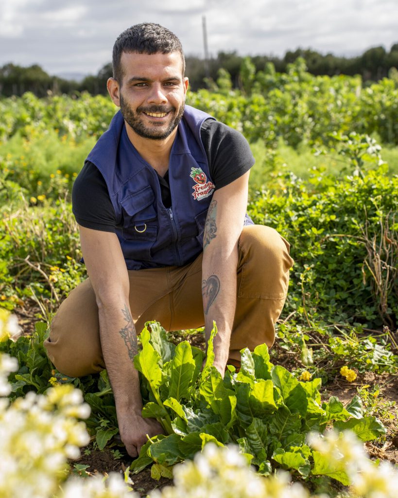 verdure fresche di stagione si alghero